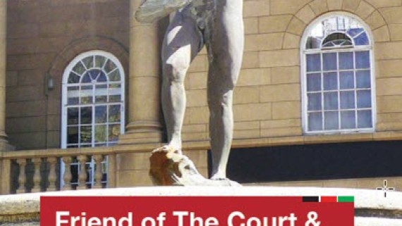 Friend of the Court & the 2010 Constitution: the Kenyan Experience and Comparative State Practice on Amicus Curiae